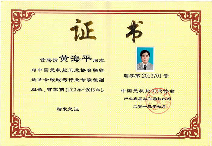 Deputy head of the expert group